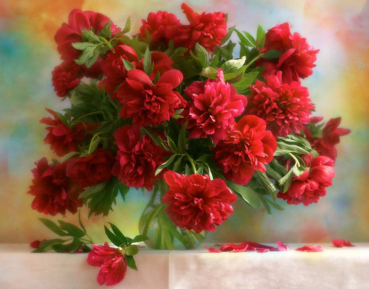 915760 (a): :1921x1500